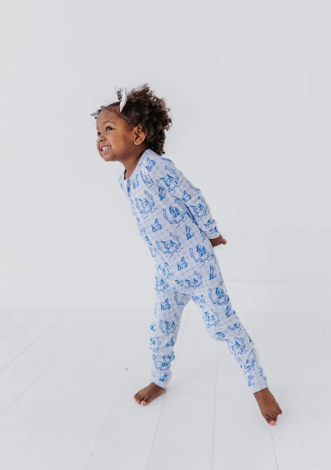 Blue Pony Zippy